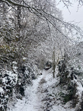 Load image into Gallery viewer, Winter Walk and Lunch: Saturday 9th January