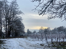 Load image into Gallery viewer, Winter Walk and Lunch: Saturday 9th January