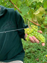 Load image into Gallery viewer, Viticulture Course 2026 ~ A year in the Vineyard Gift