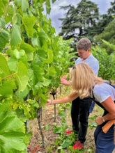 Load image into Gallery viewer, Viticulture Course 2026 ~ A year in the Vineyard Gift