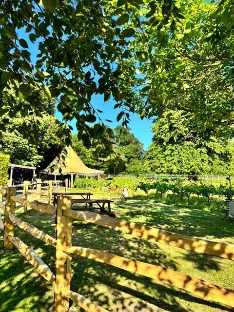 Pilates at The Tipi ~ Friday 17th October